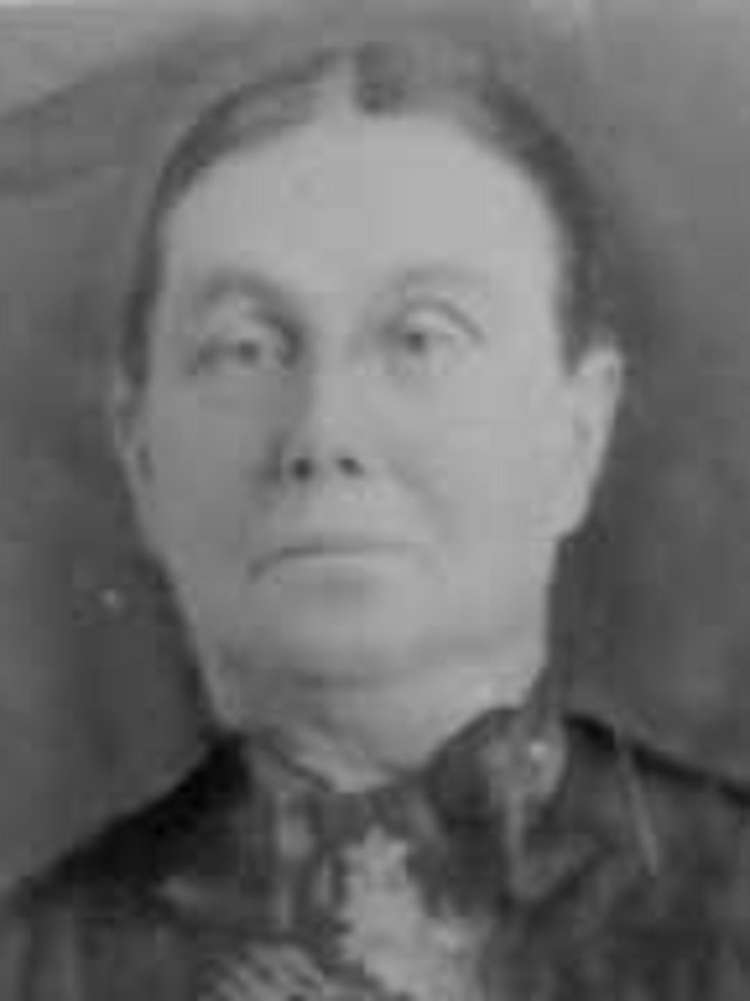 Martha Ann Mildred Cooper (1849 - 1908) Profile